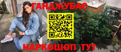 гашик Ливны