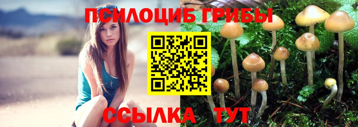 Псилоцибиновые грибы мицелий Усть-Илимск
