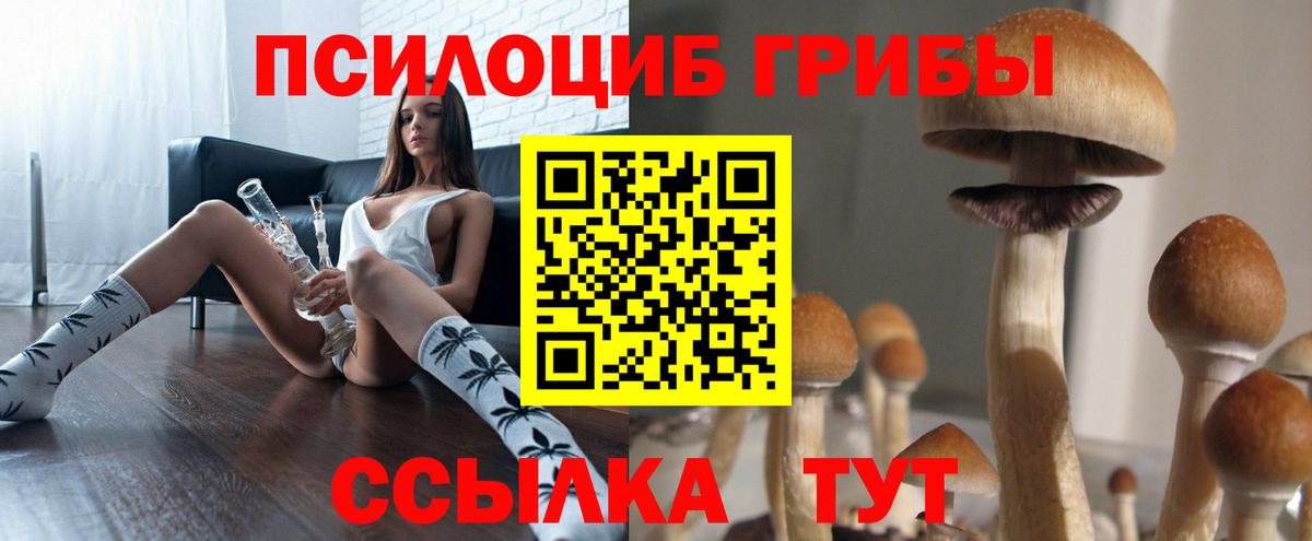 Усть-Илимск  цена   Вход с VPN  Галлюциногенные грибы ЛСД 